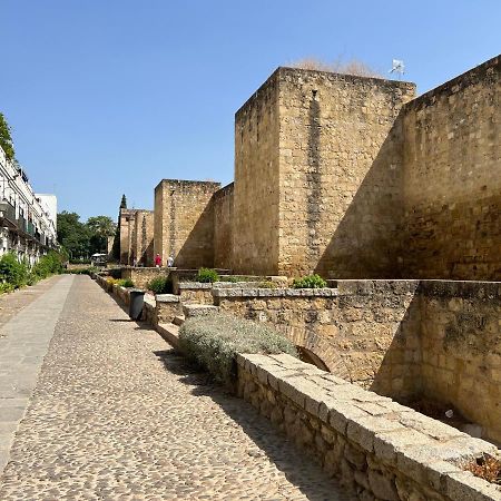 Apartamento La Mezquita-Catedral コルドバ エクステリア 写真